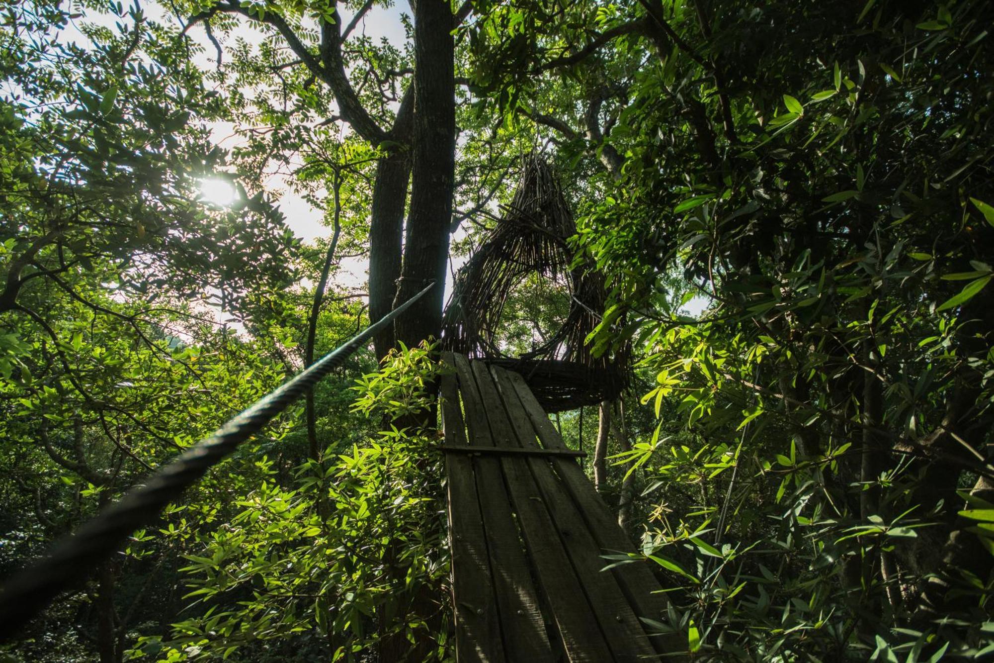 Treehouse Chalets Belihuloya Exterior photo