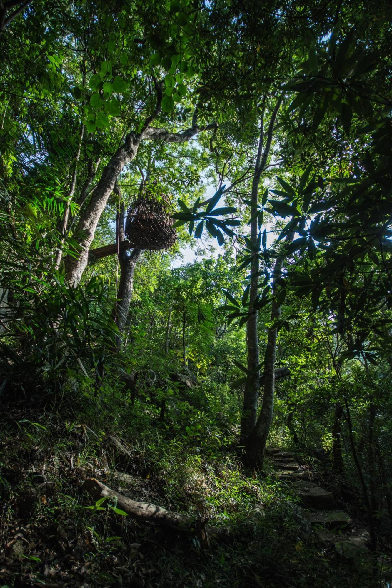 Treehouse Chalets Belihuloya Exterior photo